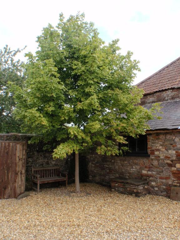 The Old Parsonage 3* Farrington Gurney